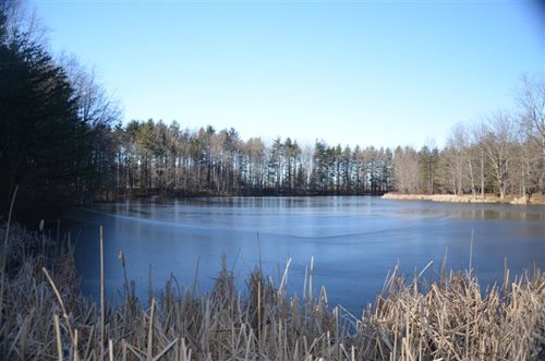 Tract 7 - 4.8 acre Private Lake - 339+/- Acres Offered in 10 Tracts